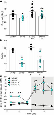 Dietary ketosis improves circadian dysfunction as well as motor symptoms in the BACHD mouse model of Huntington’s disease